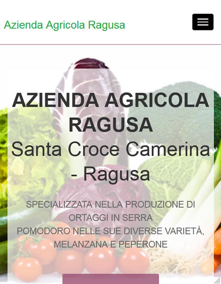 home page di aziendaagricolaragusa.com